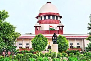 Best Family Lawyer in Noida